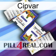Cipvar 12